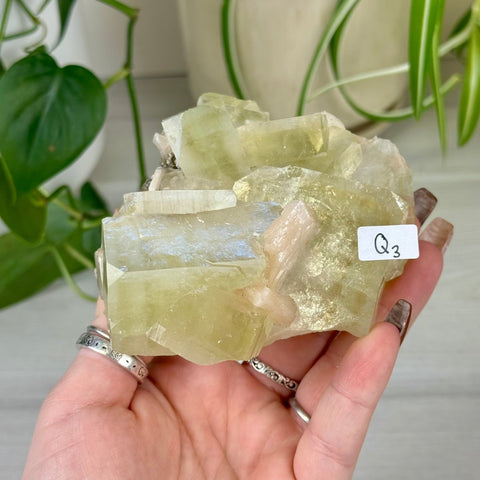 Green Goblin Apophyllite Q3 49 - Kenna's Crystals from TikTok