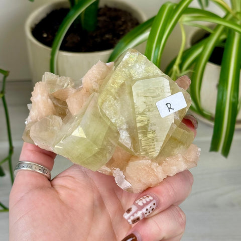 Green Goblin Apophyllite R 40 - Kenna's Crystals from TikTok