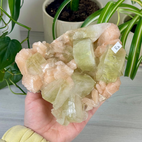 Green Goblin Apophyllite R2 4 - Kenna's Crystals from TikTok