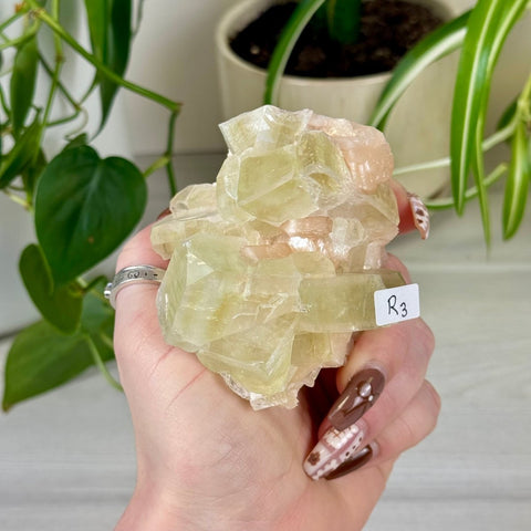 Green Goblin Apophyllite R3 50 - Kenna's Crystals from TikTok