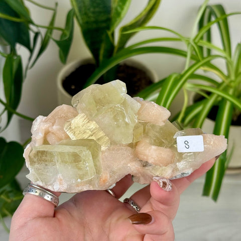 Green Goblin Apophyllite S 41 - Kenna's Crystals from TikTok