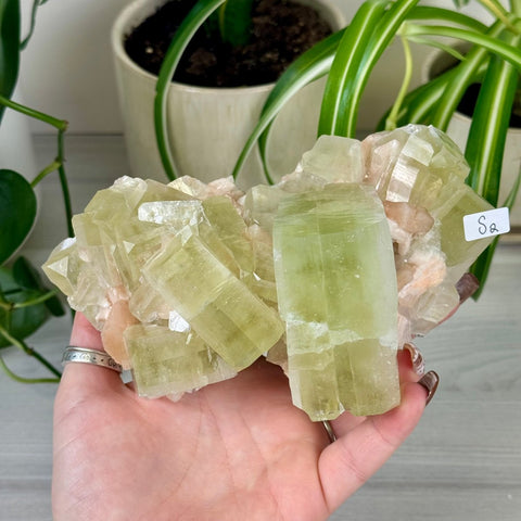 Green Goblin Apophyllite S2 5 - Kenna's Crystals from TikTok