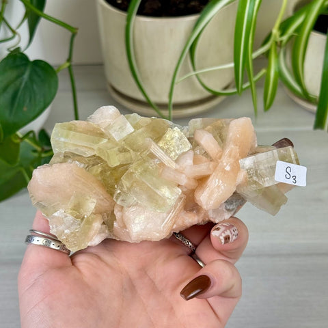 Green Goblin Apophyllite S3 51 - Kenna's Crystals from TikTok