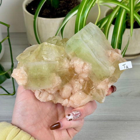 Green Goblin Apophyllite T2 6 - Kenna's Crystals from TikTok