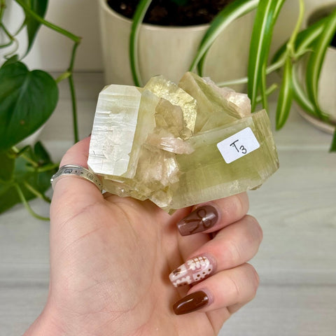 Green Goblin Apophyllite T3 52 - Kenna's Crystals from TikTok