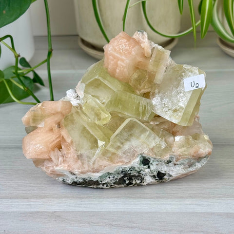 Green Goblin Apophyllite U2 7 - Kenna's Crystals from TikTok