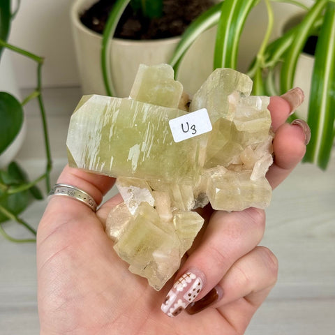 Green Goblin Apophyllite U3 53 - Kenna's Crystals from TikTok