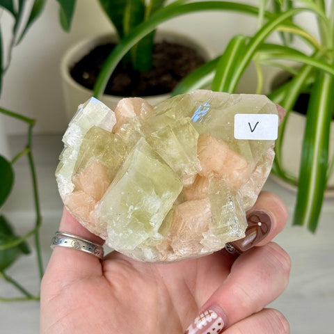 Green Goblin Apophyllite V 42 - Kenna's Crystals from TikTok