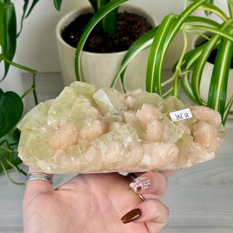 Green Goblin Apophyllite W2 9 - Kenna's Crystals from TikTok