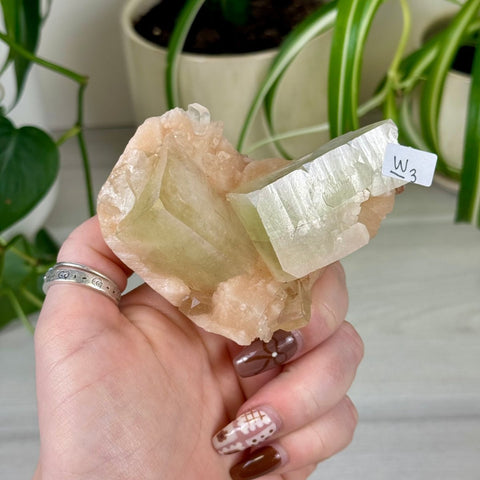 Green Goblin Apophyllite W3 55 - Kenna's Crystals from TikTok