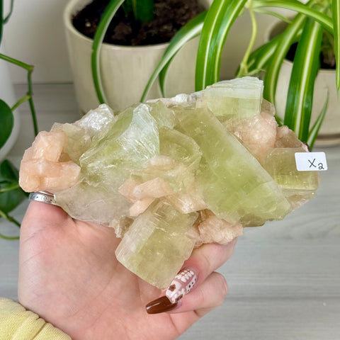 Green Goblin Apophyllite X2 11 - Kenna's Crystals from TikTok