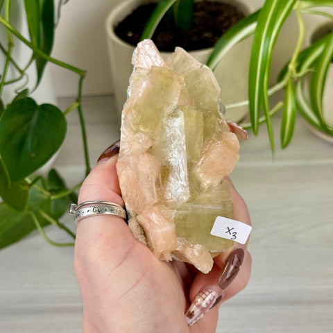 Green Goblin Apophyllite X3 56 - Kenna's Crystals from TikTok