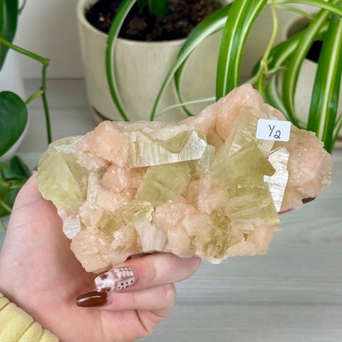 Green Goblin Apophyllite Y2 10 - Kenna's Crystals from TikTok