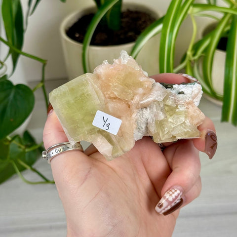 Green Goblin Apophyllite Y3 57 - Kenna's Crystals from TikTok