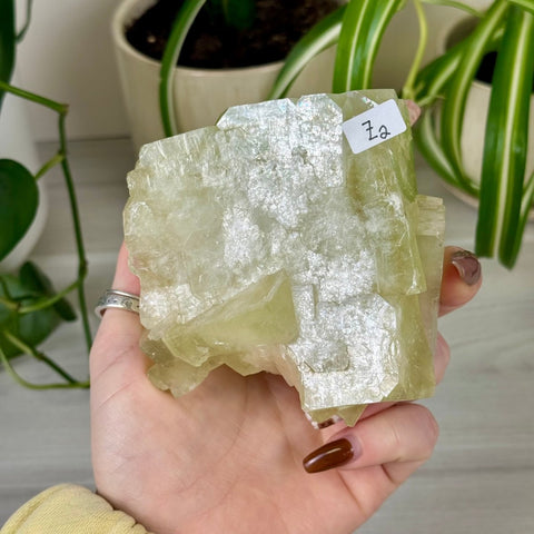 Green Goblin Apophyllite Z2 12 - Kenna's Crystals from TikTok
