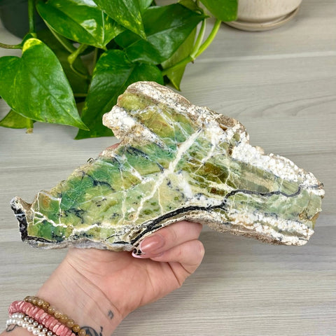 Green Opal Slice 1 - Kenna's Crystals from TikTok