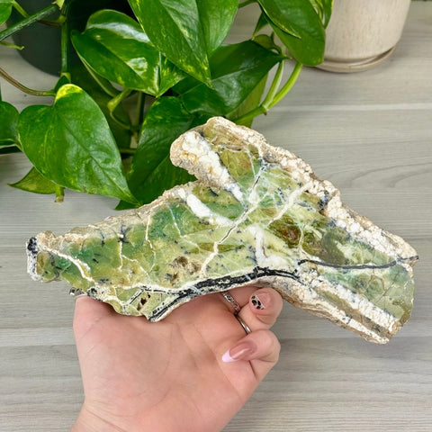 Green Opal Slice 2 - Kenna's Crystals from TikTok