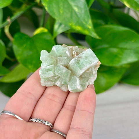 Green Tea Apophyllite 22 64 - Kenna's Crystals from TikTok