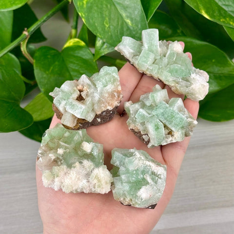 Green Tea Apophyllite 33 63 - Kenna's Crystals from TikTok