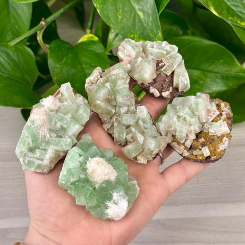 Green Tea Apophyllite 44 62 - Kenna's Crystals from TikTok