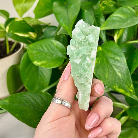 Green Tea Apophyllite 55 61 - Kenna's Crystals from TikTok