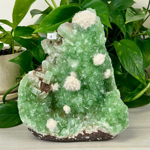Green Tea Apophyllite A 1 - Kenna's Crystals from TikTok