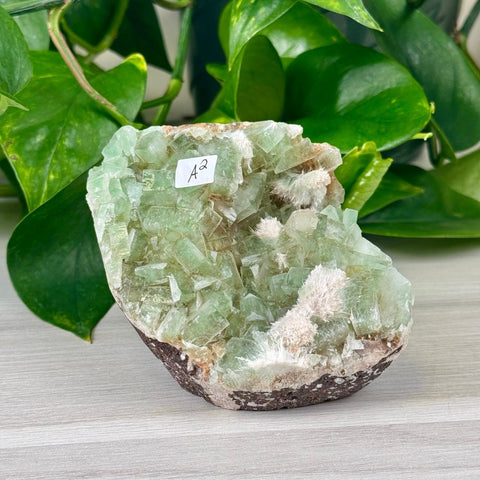 Green Tea Apophyllite A2 27 - Kenna's Crystals from TikTok