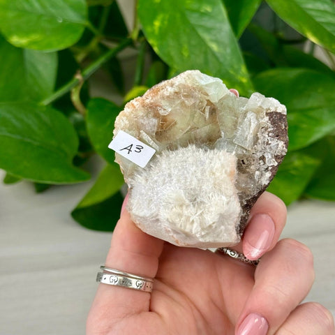 Green Tea Apophyllite A3 53 - Kenna's Crystals from TikTok