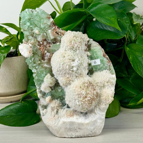 Green Tea Apophyllite B 2 - Kenna's Crystals from TikTok