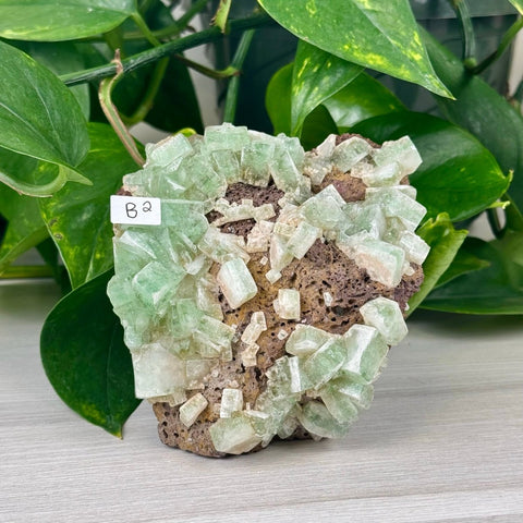 Green Tea Apophyllite B2 28 - Kenna's Crystals from TikTok