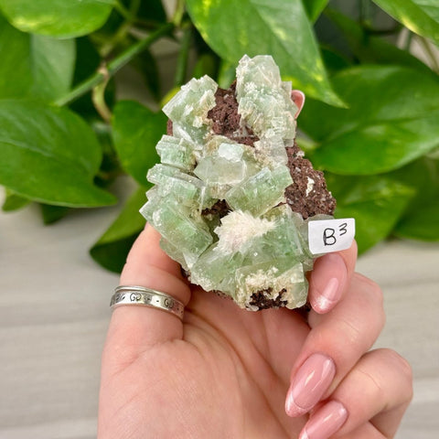 Green Tea Apophyllite B3 54 - Kenna's Crystals from TikTok