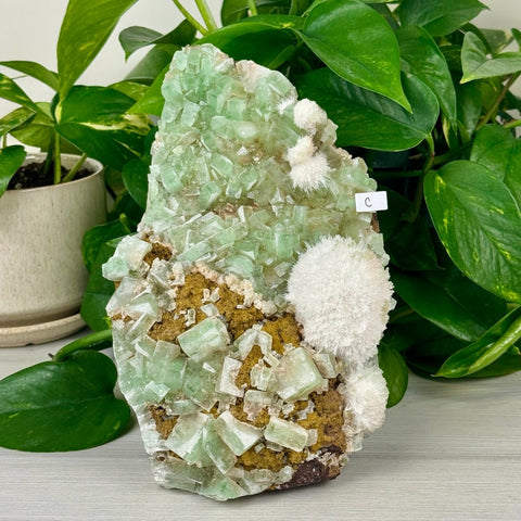 Green Tea Apophyllite C 3 - Kenna's Crystals from TikTok