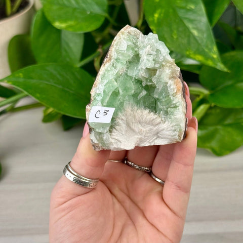 Green Tea Apophyllite C3 55 - Kenna's Crystals from TikTok