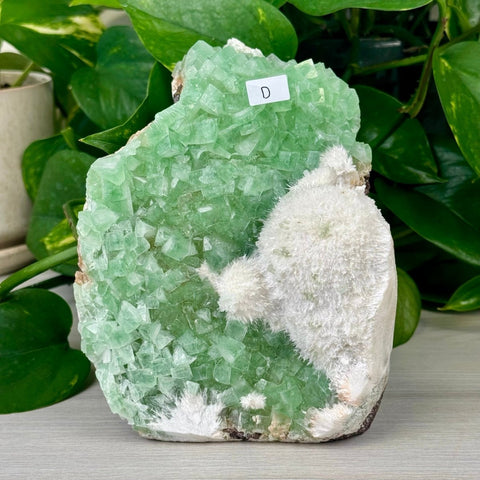 Green Tea Apophyllite D 4 - Kenna's Crystals from TikTok