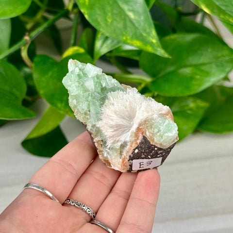 Green Tea Apophyllite E3 57 - Kenna's Crystals from TikTok