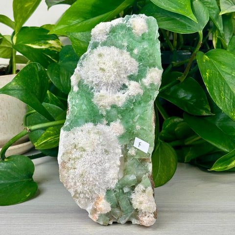 Green Tea Apophyllite F 6 - Kenna's Crystals from TikTok