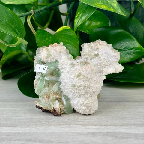 Green Tea Apophyllite F2 32 - Kenna's Crystals from TikTok