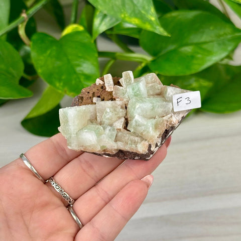 Green Tea Apophyllite F3 58 - Kenna's Crystals from TikTok