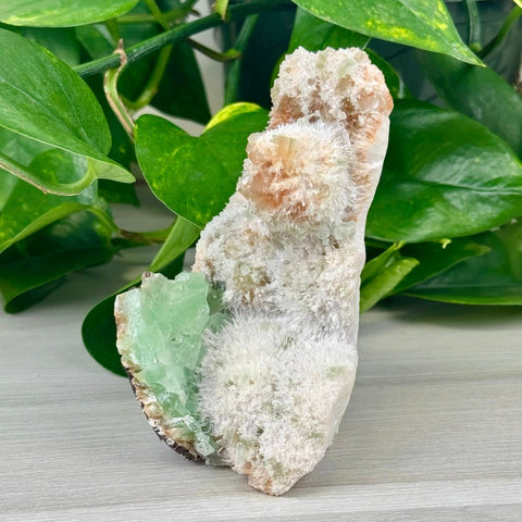 Green Tea Apophyllite G2 33 - Kenna's Crystals from TikTok