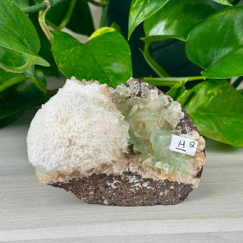 Green Tea Apophyllite H2 34 - Kenna's Crystals from TikTok