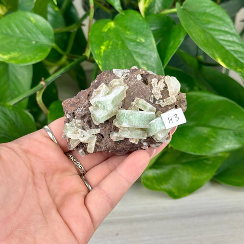 Green Tea Apophyllite H3 60 - Kenna's Crystals from TikTok