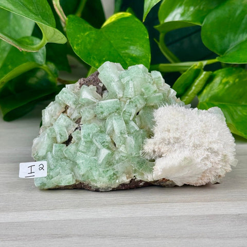 Green Tea Apophyllite I2 35 - Kenna's Crystals from TikTok