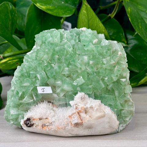 Green Tea Apophyllite J 10 - Kenna's Crystals from TikTok