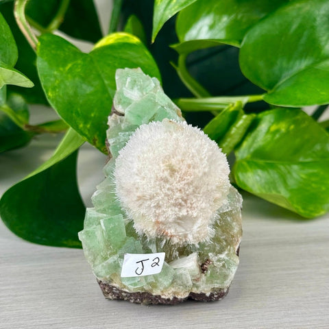 Green Tea Apophyllite J2 36 - Kenna's Crystals from TikTok