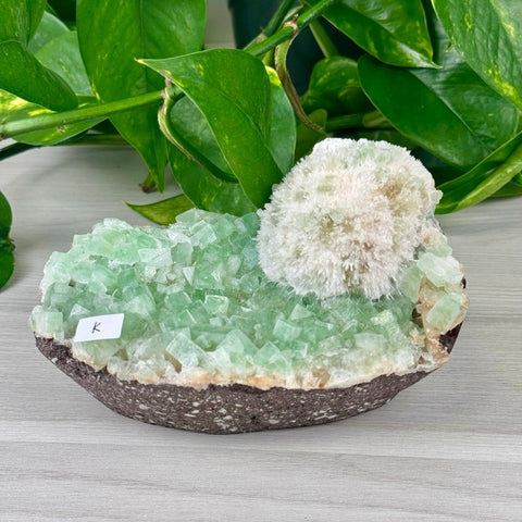 Green Tea Apophyllite K 11 - Kenna's Crystals from TikTok