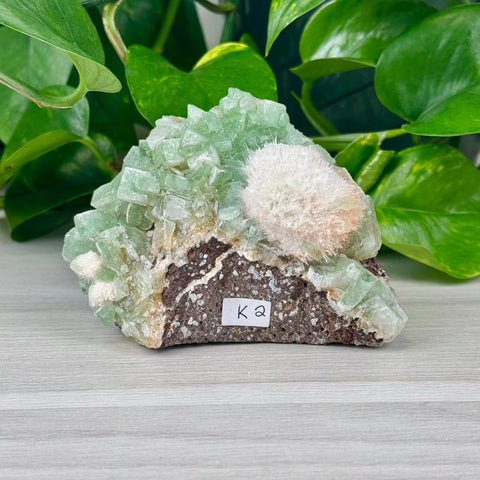 Green Tea Apophyllite K2 37 - Kenna's Crystals from TikTok