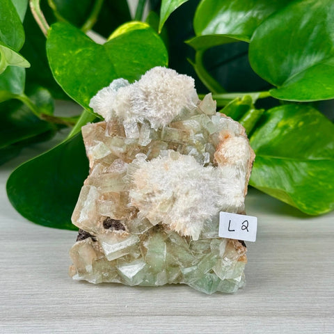 Green Tea Apophyllite L2 38 - Kenna's Crystals from TikTok