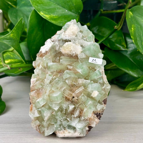 Green Tea Apophyllite M 13 - Kenna's Crystals from TikTok