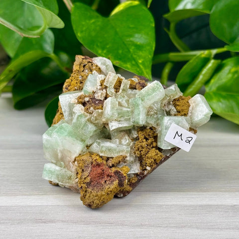 Green Tea Apophyllite M2 39 - Kenna's Crystals from TikTok