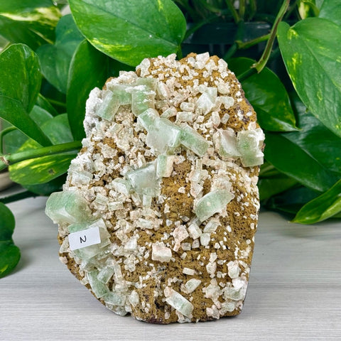 Green Tea Apophyllite N 14 - Kenna's Crystals from TikTok